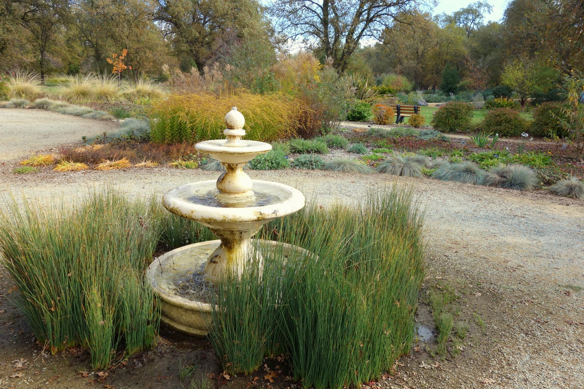 McConnell Arboretum and Botanical Gardens, Redding California