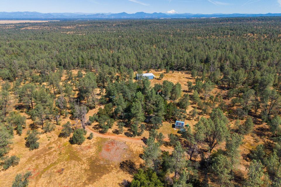 25350 Buffalo Drive