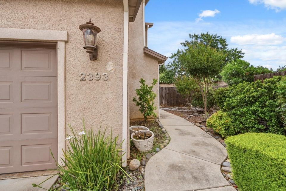 2393 Shining Star Way